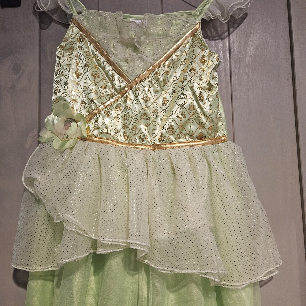Disney Store Princess Tiana Costume Dress Girls Size 9/10 Halloween